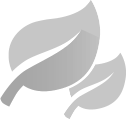 Deux feuilles – symbolisent les économies de carburant et le respect de l’environnement.