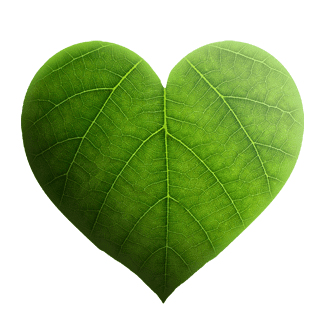 Kraftstoffverbrauch und CO2-Emissionen messen