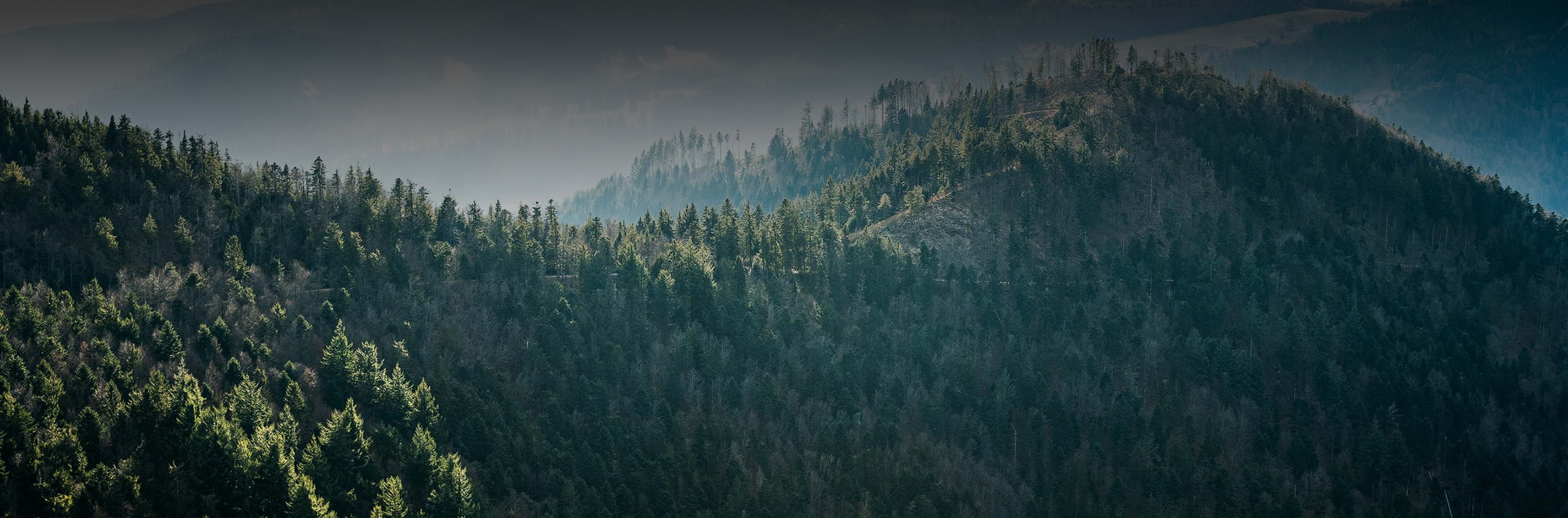 Optimisez votre consommation